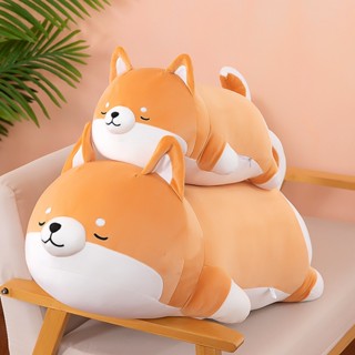  Thú bông chó Shiba ngủ siêu cưng cute  35cm--->70cm  vải miniso 4 chiều cao cấp gối ôm chó Shiba dễ thương đáng yêu 
