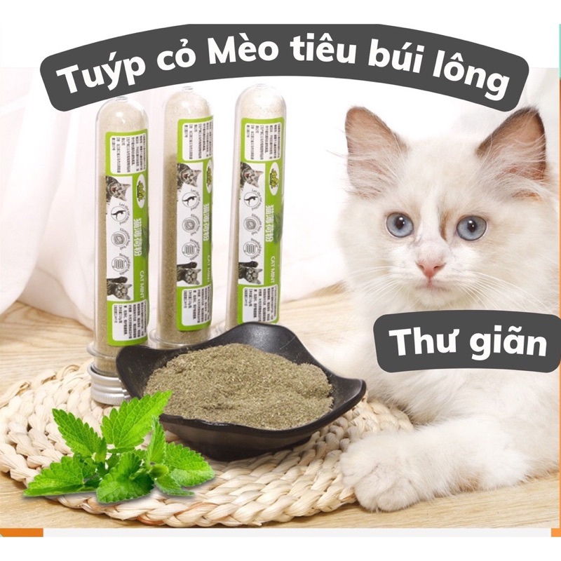 ỐNG CỎ BẠC HÀ MÈO 45ml