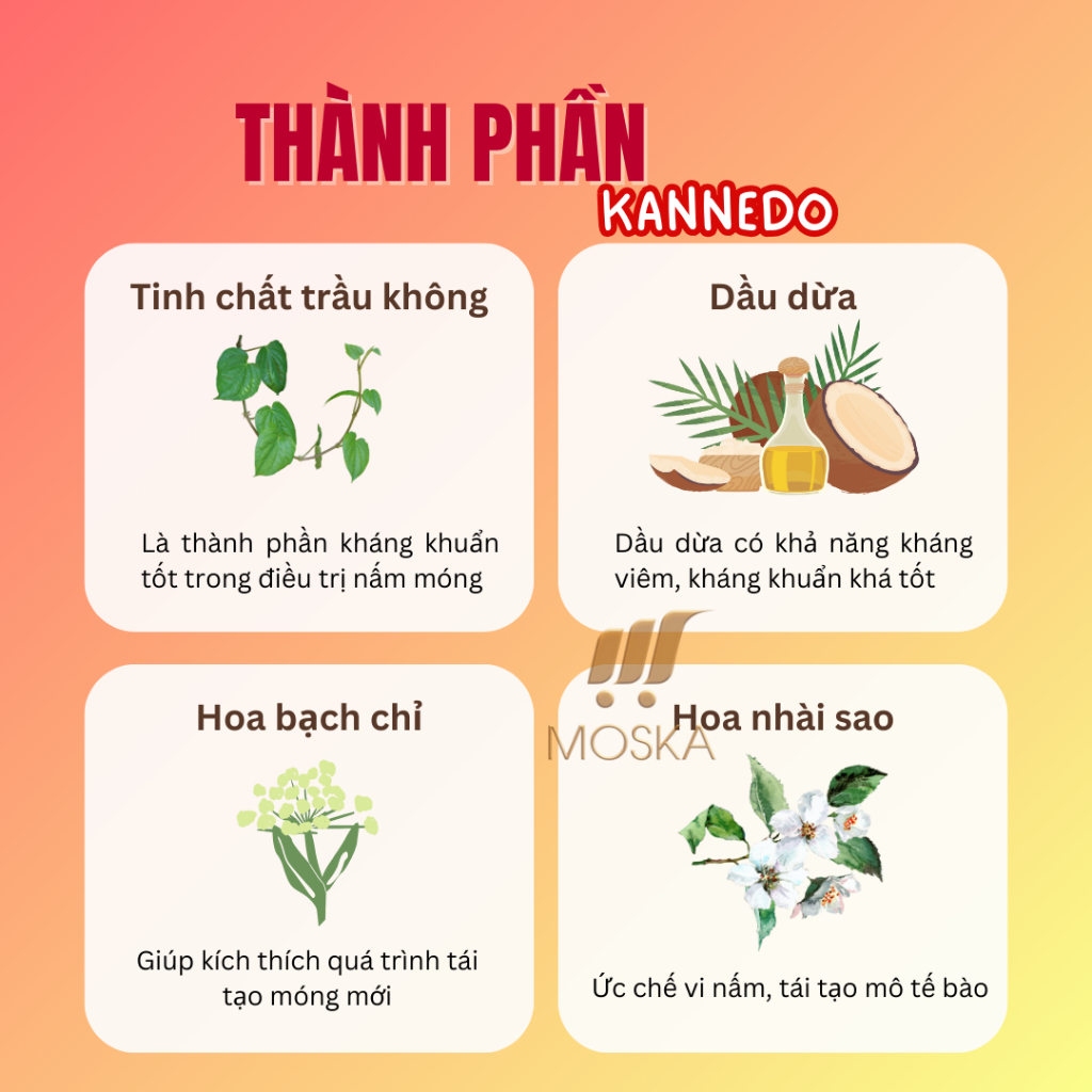 Tinh Chất Nấm Móng, Dưỡng Móng, Giảm Thối Móng KANNEDO Nhật Bản 30ml, Móng Cứng, Chắc, Phục Hồi Form Móng Hư | Moska Sho