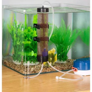 Dụng cụ ấp nở trứng artemia chất lượng, lồng ấp trứng nở, máy ấp trứng tôm nước muối - phụ kiện thủy sinh tiện ích