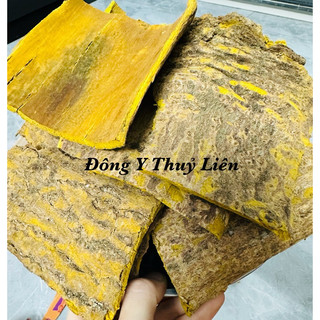 Hoàng Bá Bắc đã cạo vỏ loại 1