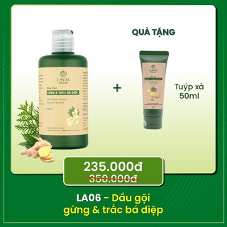  Dầu gội Lavia dầu gội Gừng và Trắc Bá Diệp hỗ trợ giảm rụng kích mọc giảm gàu giảm bết tóc 