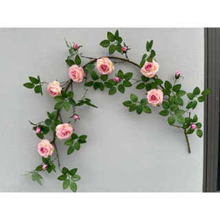 Dây Hoa Hồng Pháp Leo Cổ Dài 1m7 Thân Phủ Rêu Giống Thật , Hàng Cao Cấp , Trang Trí Nhà Cửa - HOA GIẢ, HOA LỤA.