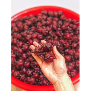 [MNCHOAATISO] • NƯỚC CỐT HOA ATISO ĐỎ _ Chai 400gr