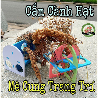 Mê cung ghế, đồ chơi lắp ráp cho hamster. Cắm cành hạt cho hamster