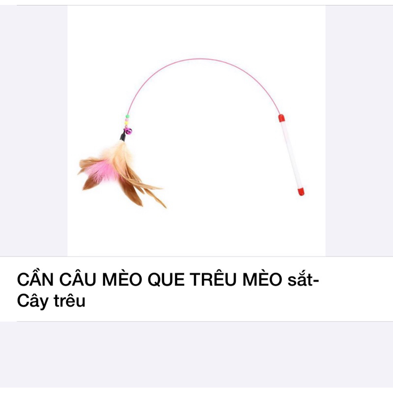 cần câu mèo que trêu mèo