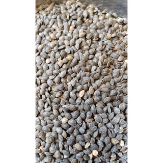 10gram hạt giống chanh dây tím