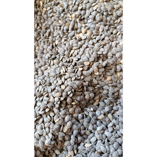 10gram hạt giống chanh dây tím