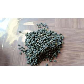 10gram hạt giống chanh dây tím