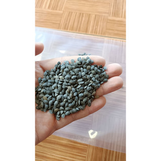 10gram hạt giống chanh dây tím