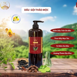  Dầu Gội Thảo Mộc Chai 1 lít Tiện Lợi Dùng Trong Gia Đình Hoặc Spa Dưỡng Sinh 