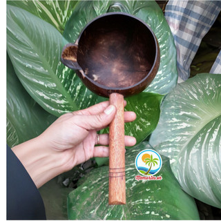 Gáo múc nước, ca múc nước, gáo dừa tưới cây, làm bánh, gội đầu, spa, phụ kiện trang trí, chụp hình