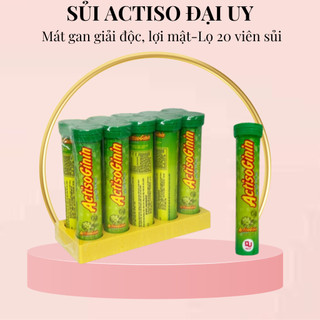 Sủi Actiso Đại Uy - Mát gan giải độc, lợi mật