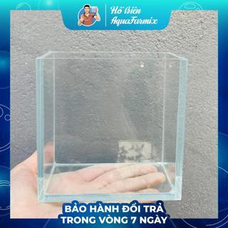 Hồ Show Cá Mini kính siêu trong, 12cmx7cmx12cm dùng quay video ngắm cá cận cảnh