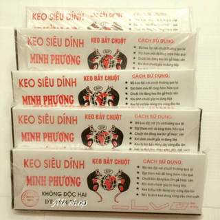 Combo 5 miếng keo dính chuột siêu dính