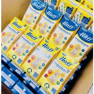 Thùng sữa dinh dưỡng pha sẵn Hoff (48 hộp x 110ml)
