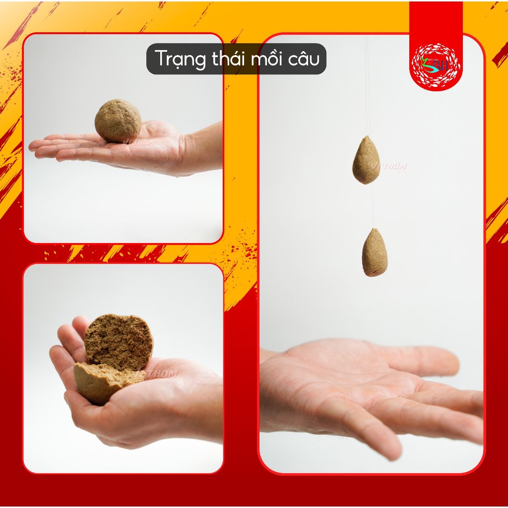 Cám Chép Việt Vị Thơm - Hoàng Nam Fishing