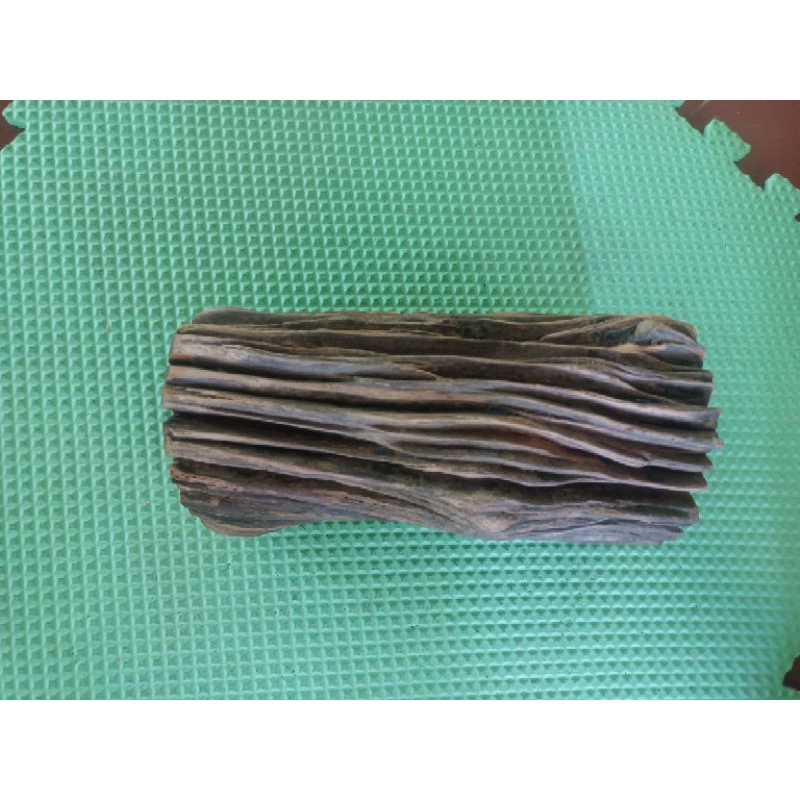 :Bình  Hoa gỗ Lũa Decore, Phụ Kiện Trang trí Nhà Cửa, Lọ Gỗ Tự Nhiên, decore Home stay nhà hàng quán