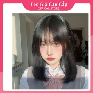 Tóc giả nguyên đầu cúp layer, tặng kèm lưới trùm, BHT2.0.46