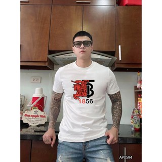 Áo thun nam boy phố 100% cotton cao cấp - AP0594