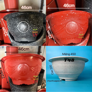 Chậu nhựa truyền thống T48, Chậu nhựa trồng cây, chậu không lỗ trồng sen, nuôi cá