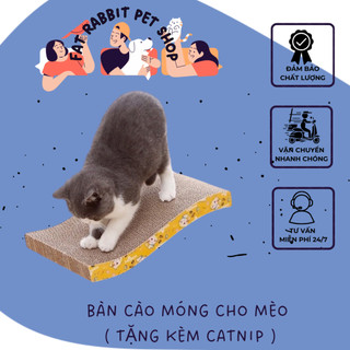 Bàn cào móng cho mèo ( tặng kèm Catnip )