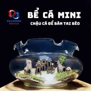 Bể cá mini, chậu cá để bàn tai bèo . tặng phụ kiện