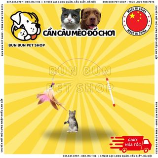 Cần câu mèo đồ chơi