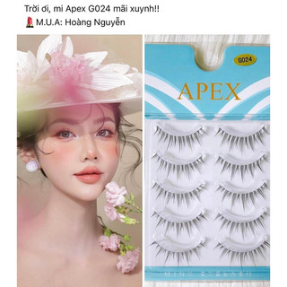 Mi gân trong apex các mã