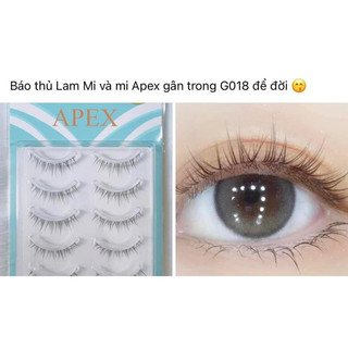 Mi gân trong apex các mã