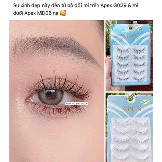 Mi gân trong apex các mã