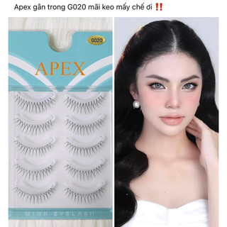 Mi gân trong apex các mã