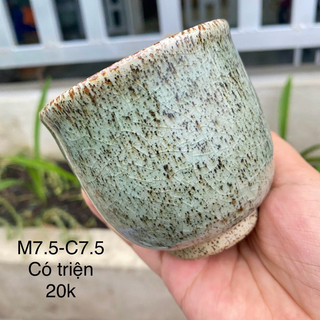 Chậu, ly gốm Nhật trồng sen đá (miệng 6-8cm) (khoan lỗ free theo yc)