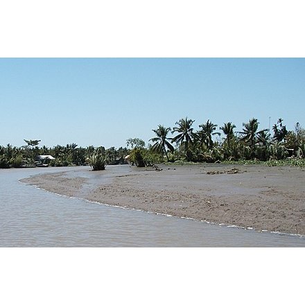 Đất phù sa trồng cây rất tốt