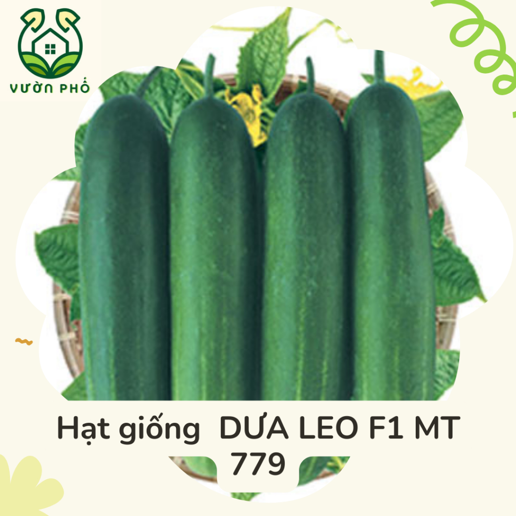 Hạt Giống Phú Nông - Hạt Giống  DƯA LEO F1 MT 779 Gói 1g - Hạt Giống Rau, Củ, Quả, Hoa |  Cucumber F