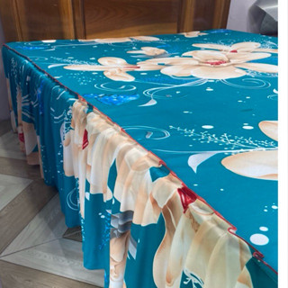 Ga trải giường có bèo phủ thun lạnh Hàn Quốc bèo phủ 1 bên cao45cm mềm mịn mát(không áo gối)