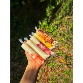 50 túi làm kem - túi làm sữa chua 4 x 16, 4 x 18