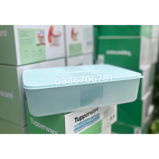 Hộp trữ ngăn đông 3.1L Tupperware