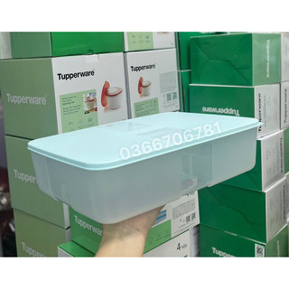 Hộp trữ ngăn đông 3.1L Tupperware