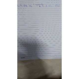 đồ c. nguyennha