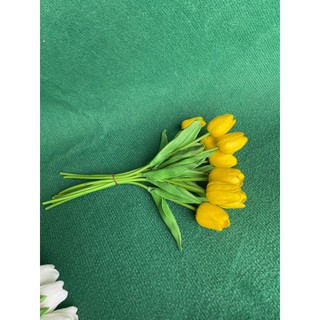 Combo 10 Bông Hoa Tulip CaoSu