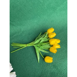 Combo 10 Bông Hoa Tulip CaoSu