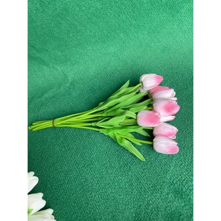 Combo 10 Bông Hoa Tulip CaoSu