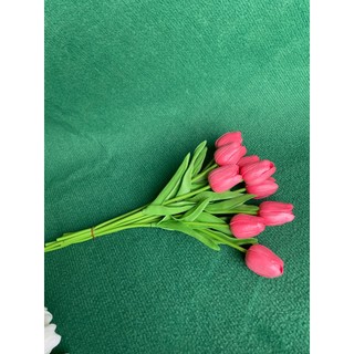 Combo 10 Bông Hoa Tulip CaoSu