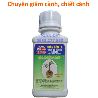 Hợp Chất Ra Rễ HVP chai 100ml, Phân bón kích rễ NT cực mạnh, chuyên dùng hoa hồng, cây kiểng