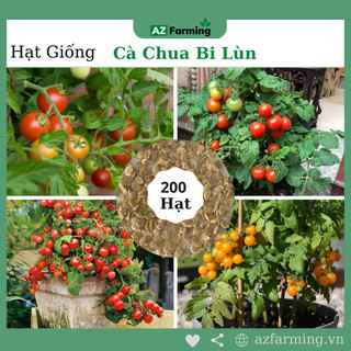 Hạt giống cà chua bi lùn - gói 200 hạt - az farming