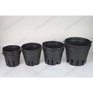 Chậu nhựa đen trồng lan đã s dụng nhiều size trồng cây kiểng