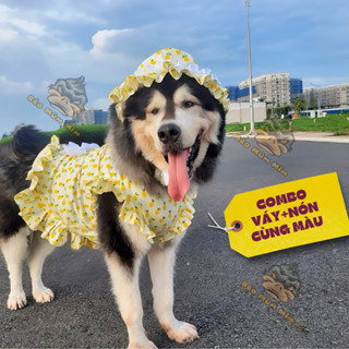 Váy dún bèo váy bà nội trợ váy cho chó mèo  họa tiết trái khóm dễ thương size 3-60kg MM0085