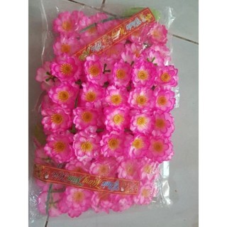 Combo Hoa Mai Hoa Đào Bịch 36 bông