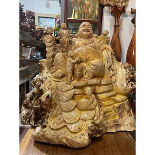 Cây giống gáo vàng
